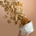 Socca Chips® Nature 250g x4